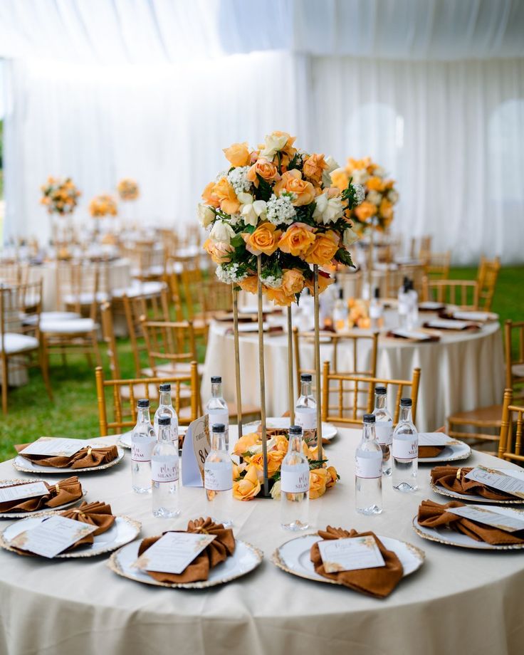 Amber bloom Reception