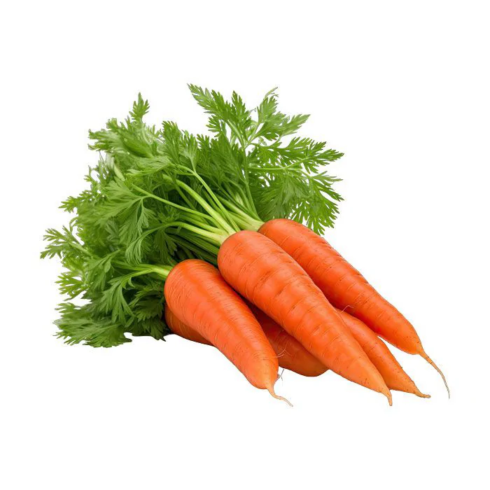 Farm-Fresh Carrots