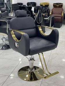 Luxury Hydraulic Salon Chair (Gold Accents)