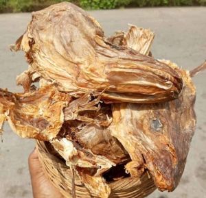 Head stockfish