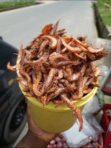 Crayfish