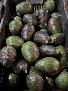 Fresh Avocado pear (per one)