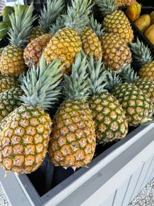 Fresh pineapple